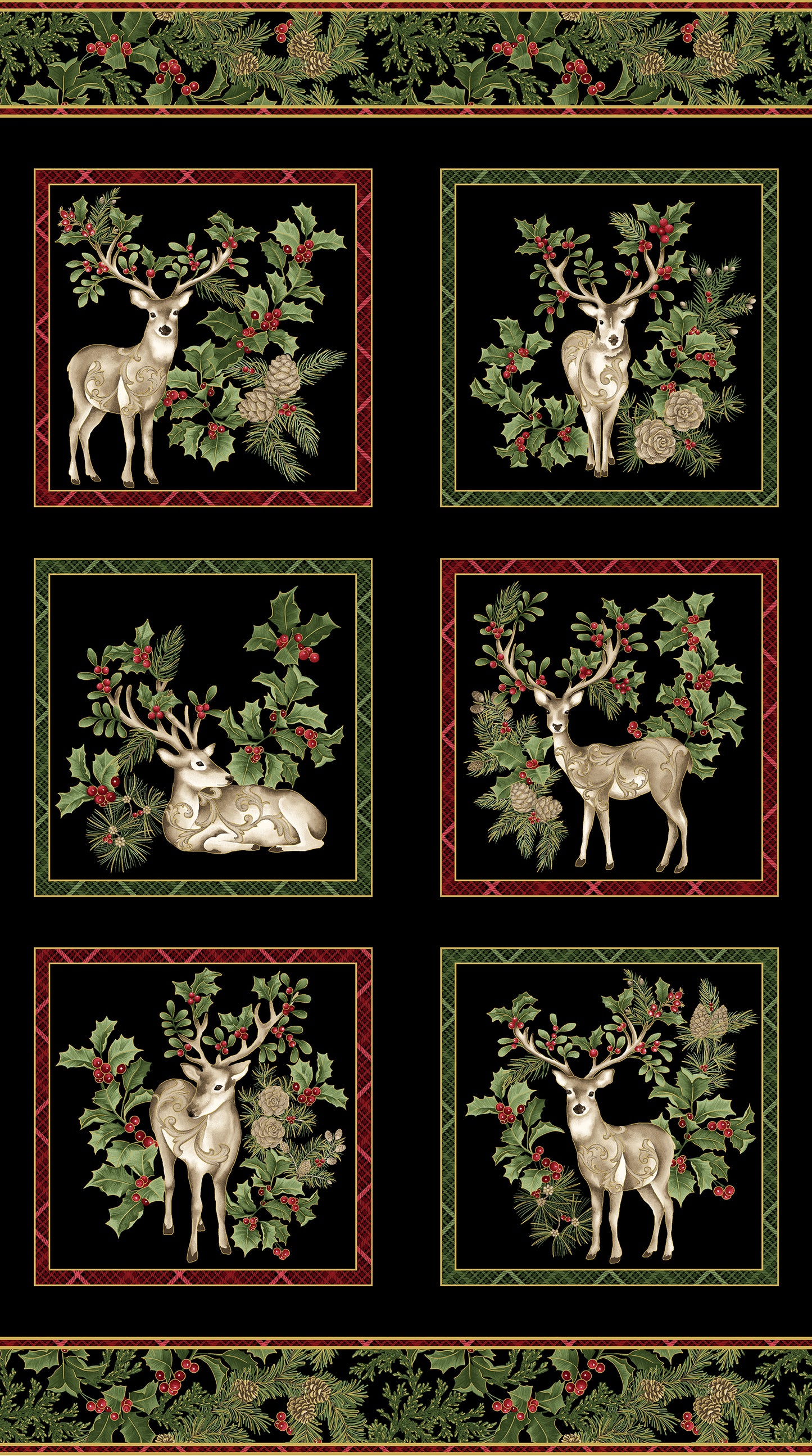 Winter In the Pines by Jackie Robinson