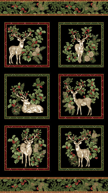 Winter In the Pines by Jackie Robinson