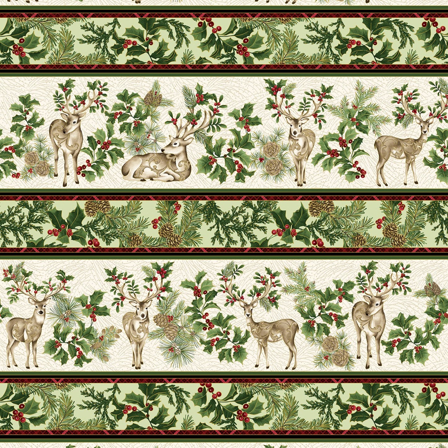 Winter In the Pines by Jackie Robinson