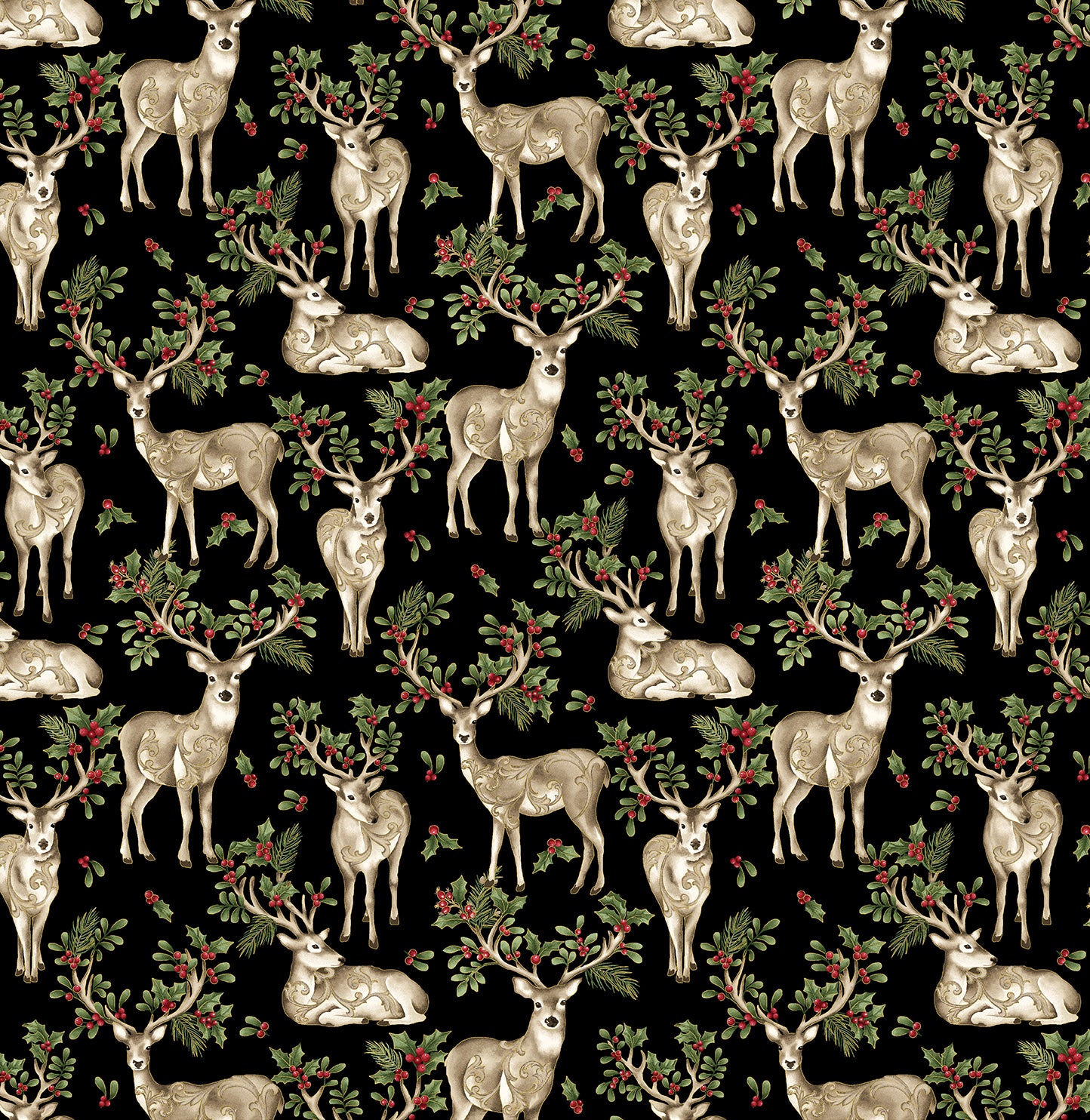 Winter In the Pines by Jackie Robinson