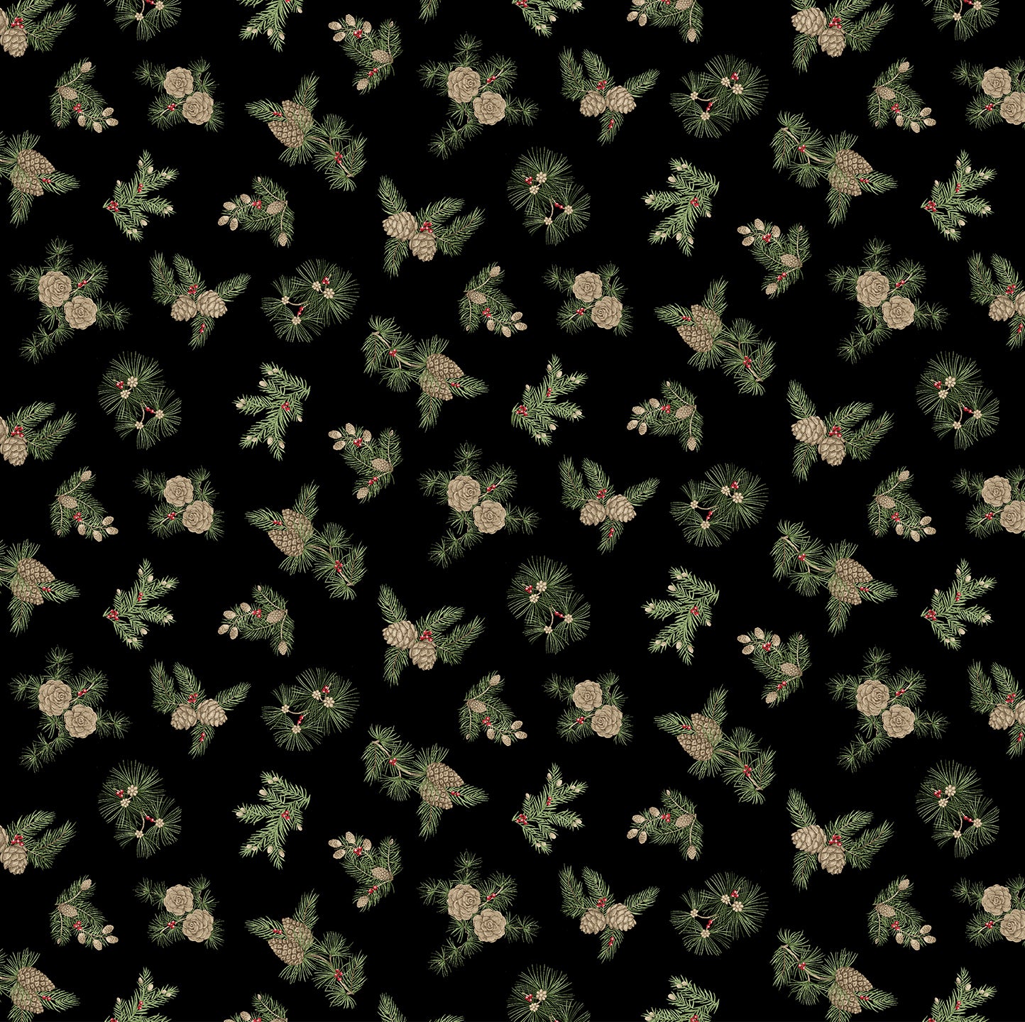 Winter In the Pines by Jackie Robinson