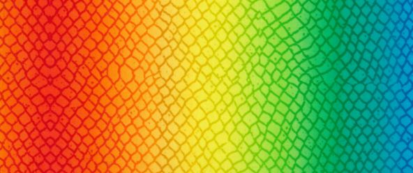 Rainbow Dragon by Studio E