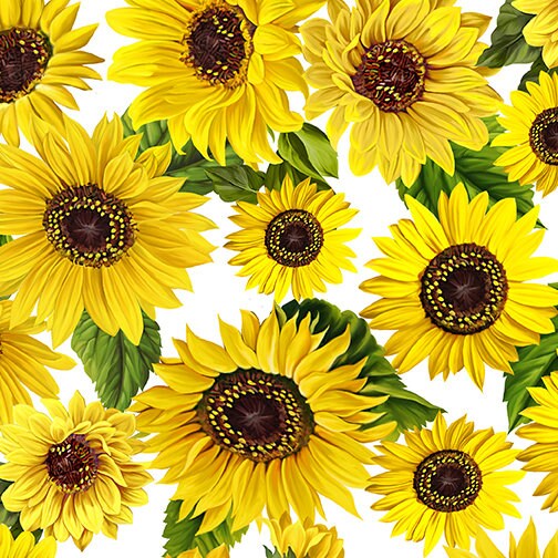 Kanvas Fabric Sunflower Sunrise Fabric
