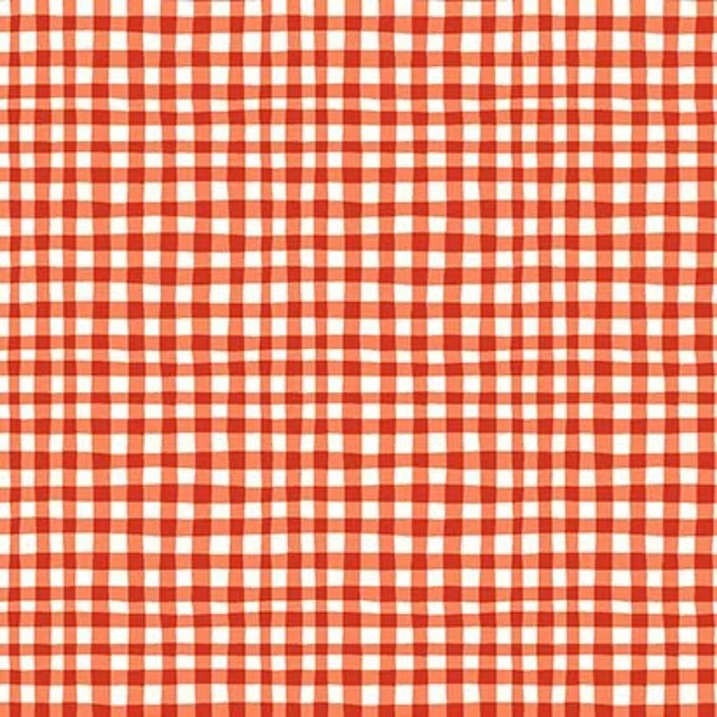 Gingham Play Collection Michael Miller Fabrics